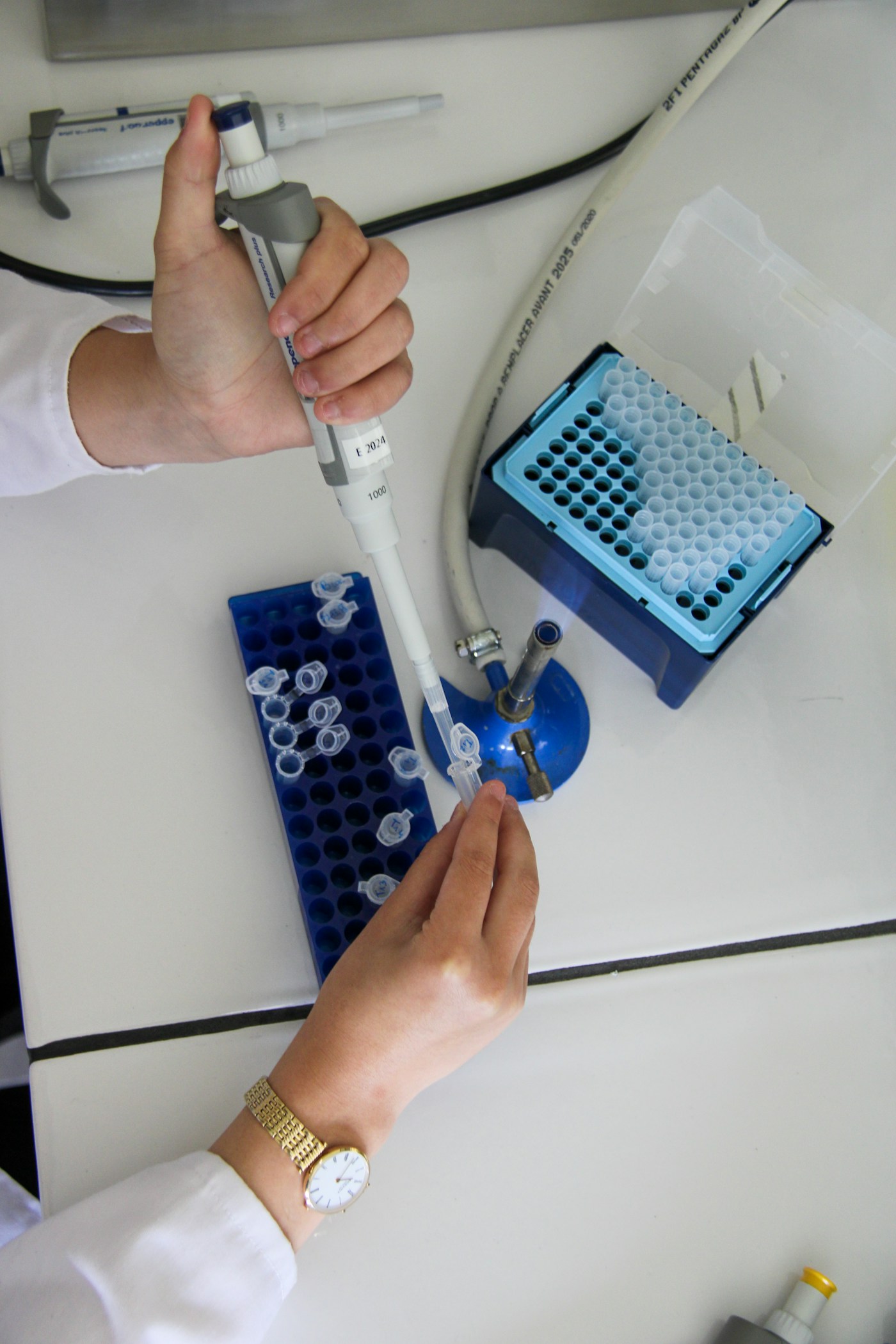Laboratuvarda pipetle çalışan bir araştırmacı